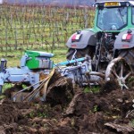 Rigolace půdy před výsadbou vinice